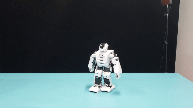 作为双足机器人,走路和移动是必不可少的项目,我们先看看 aelos pro