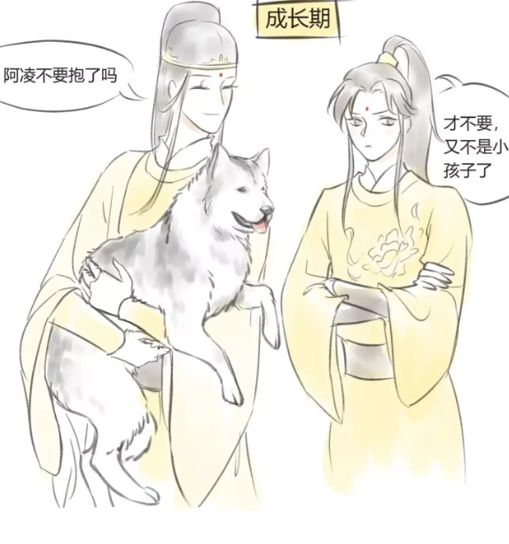 金凌,仙子,魔道祖师,金光瑶