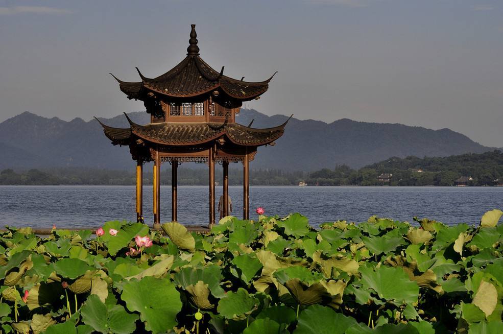 西湖,古建筑,亭子,风景,旅游