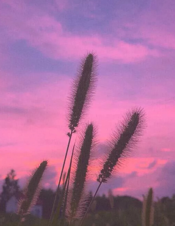 超火 天空 背景图 我是你的触手可及 你是我的水中捞月 看点快报