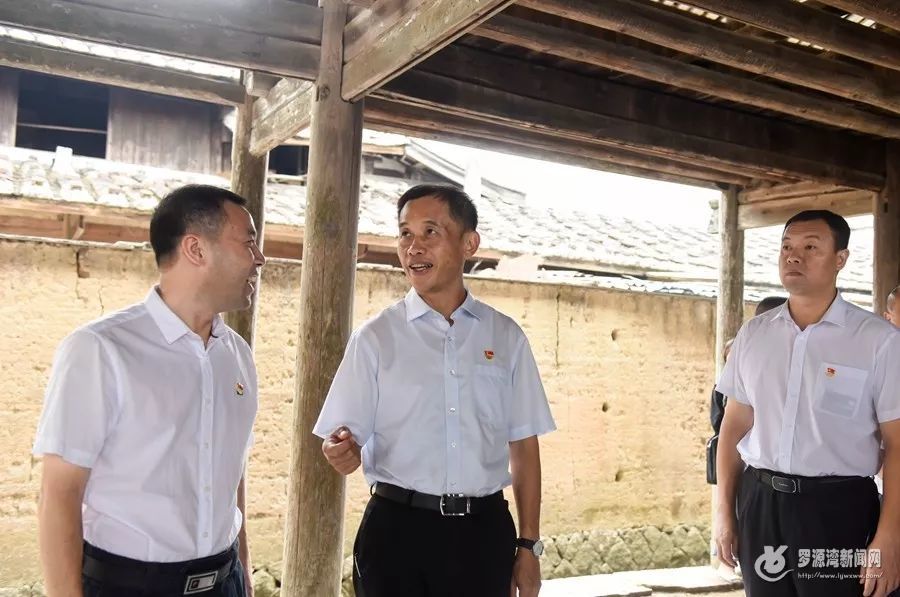 罗源县委主要领导调研基层乡村主题教育工作