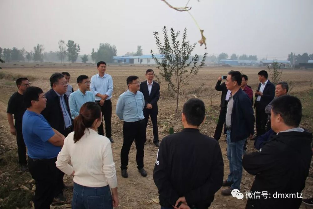鲁南高铁,东明县,马头镇,大屯镇,喜讯