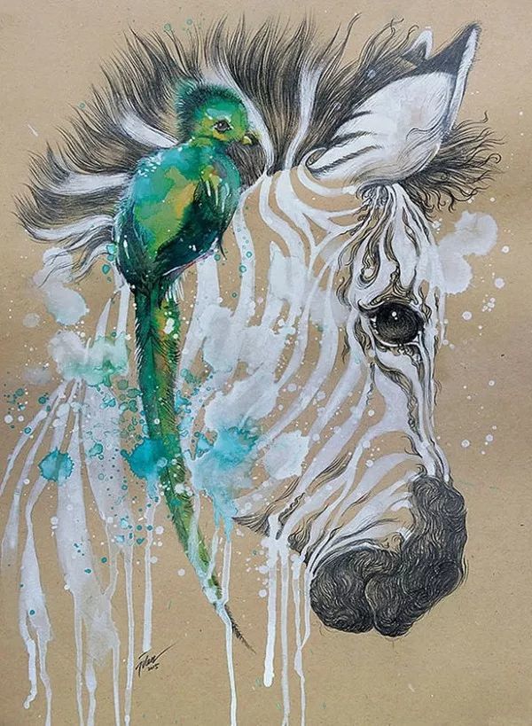 新加坡艺术家tilen tiu用泼墨手法绘制的动物水粉画,生动的色彩.
