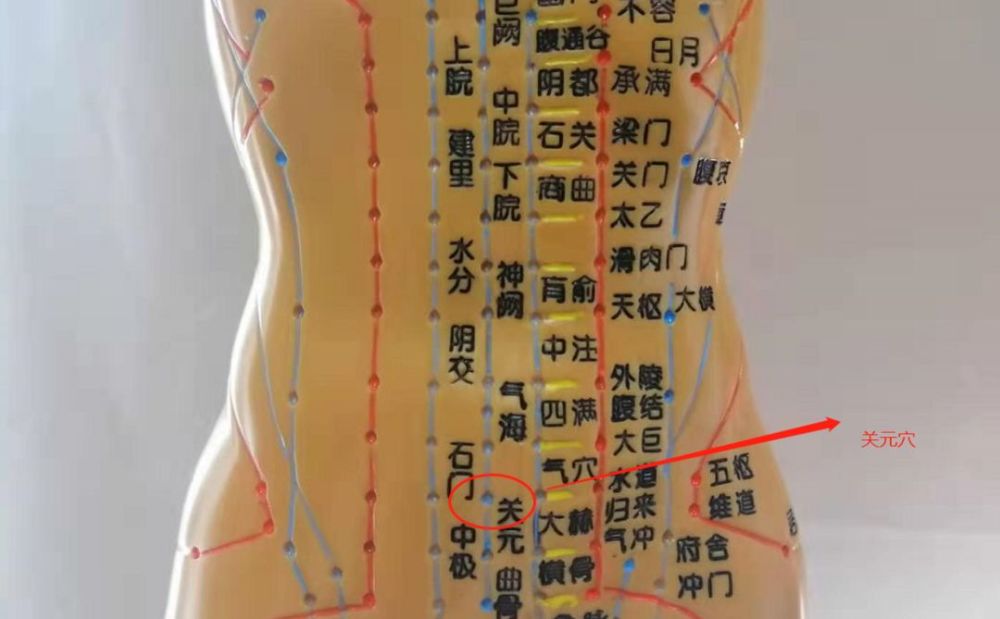 男不养肾似贾瑞,女不养肝容颜悴,养肾护肝85%的人没做