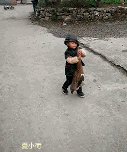 搞笑gif趣图:玻璃栈道无男人,妹子拖不动男朋友也没招!