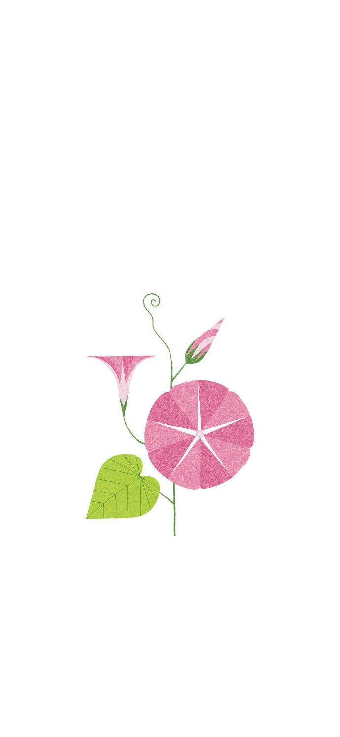 动漫图片:简约小清新花朵壁纸,很可爱