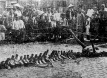 中国盛传的灵异事件,猫脸老太太成迷