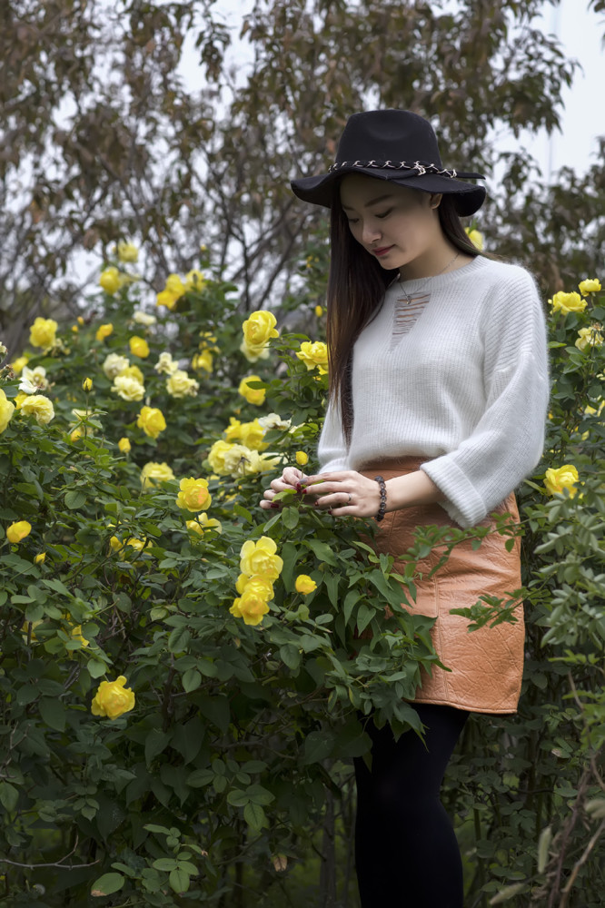 秋菊盛开的季节少女闻花香