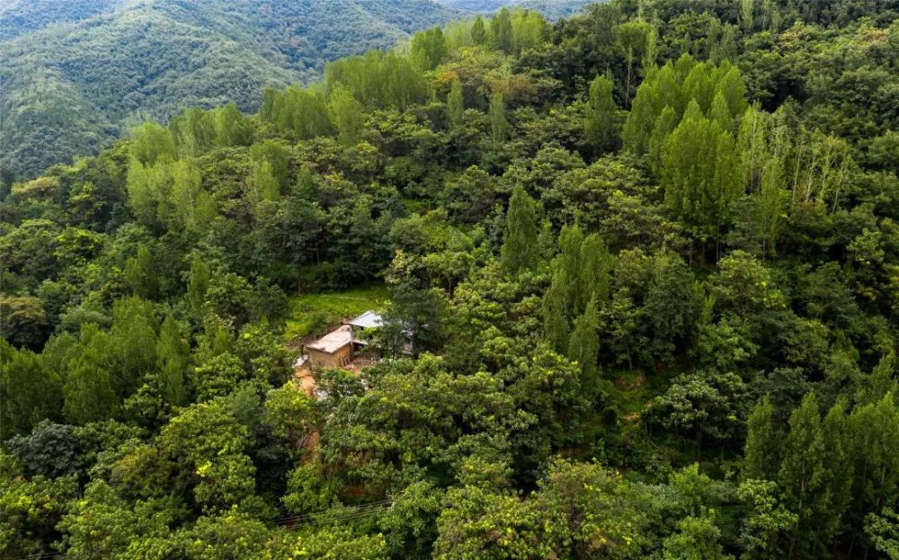 环翠峪,民宿,桑梓峪,荥阳市,青山,世外桃源