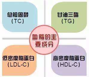 血脂康和他汀类药物,降血脂哪个效果好?一文解答您的所有疑惑!