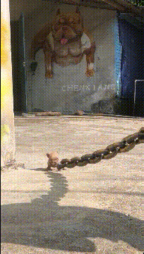 这飘逸的长发加上六亲不认的步伐. 1.晚上和老公出门逛街.