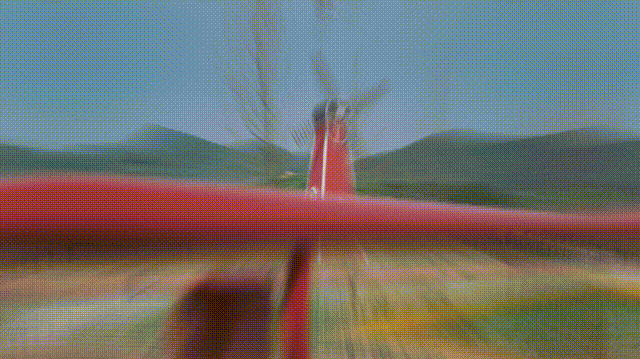 彩虹桥白鹭飞鲜果飘香柯桥这个小村庄美如画