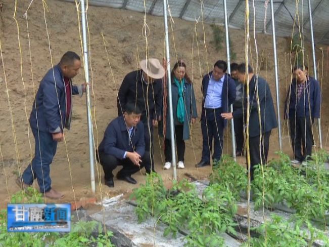 州委,扎西草,农民专业合作社,梁维吉,吕哲军
