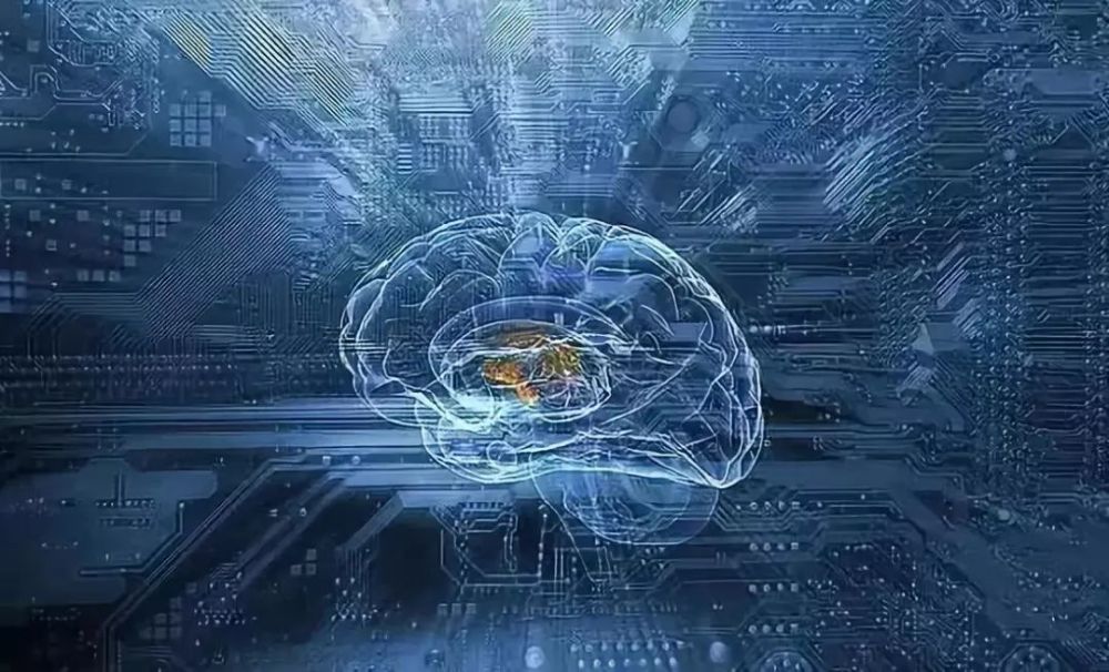 调整输入大脑的信号(通过我们的感官)来谋求对输出(行为和决策)的控制