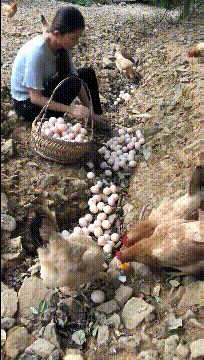 搞笑gif:哪位大神知道,这位妹子脖子的绳子是干什么用