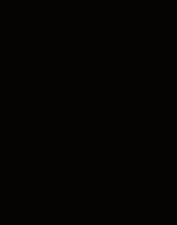 老龙河胡杨林