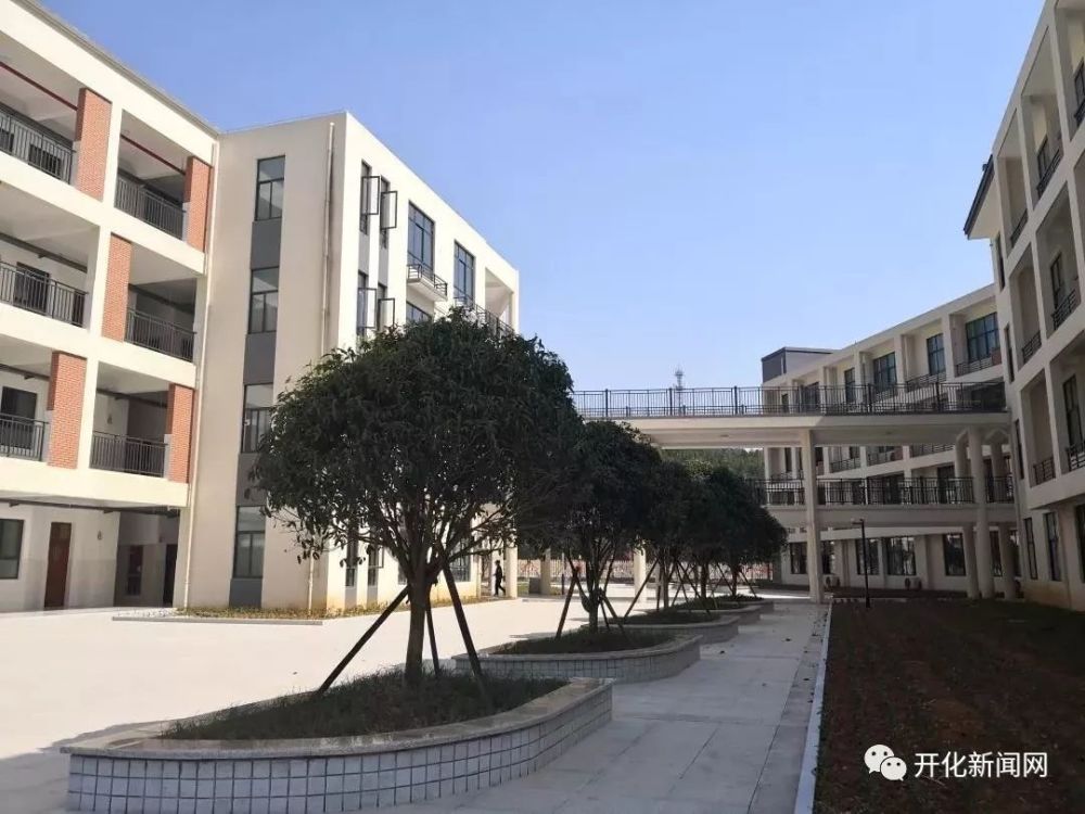新校区,城东小学,开化县,桥头村,教育