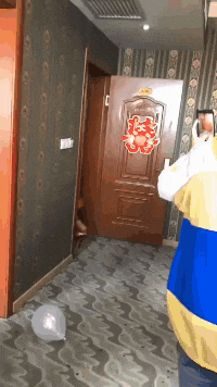 搞笑gif图:冬季带娃出行神器,但总觉得哪里不对