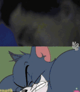 万物皆可"猫和老鼠"