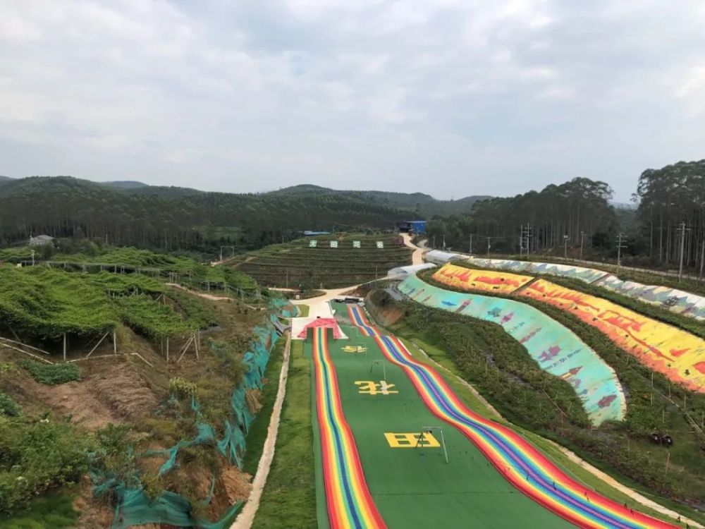 从"荒山头"到乡村旅游"网红"打卡地——合浦县石湾镇大田村强党建高