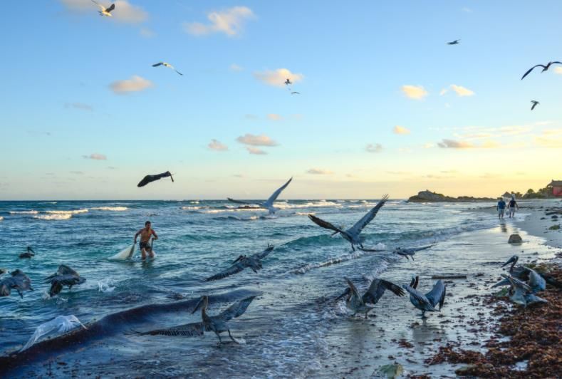 世界上最大的海湾 腾讯网