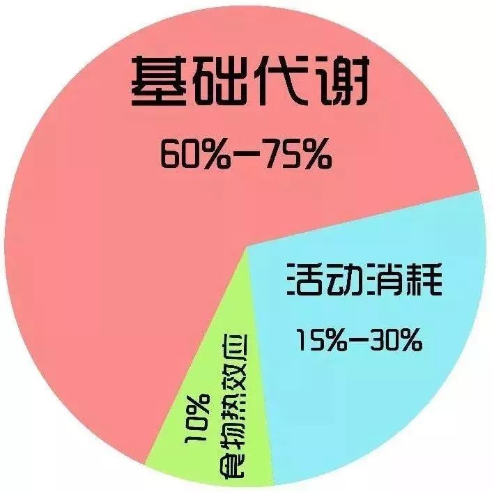 人体一天的能量消耗 这就牵扯到了 食物热效应,吃进去是一回事,要 想