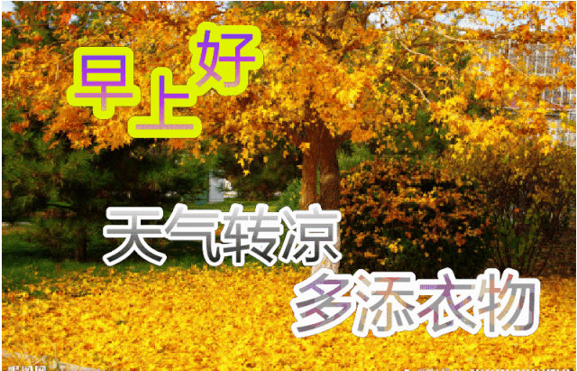 秋天早上好,十月新版早上好祝福语图片大全表情动画