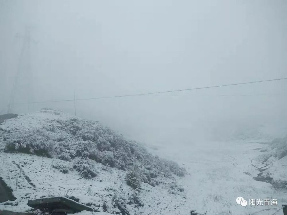 青海下大雪!雪景刷爆朋友圈