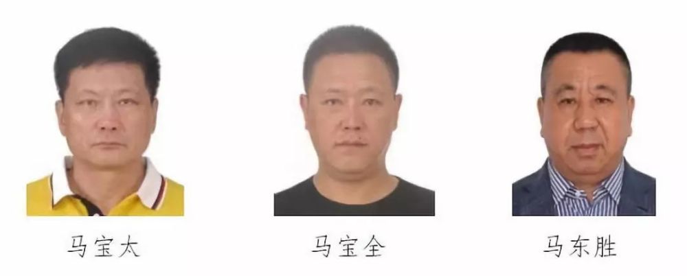 "大鼻子","八千","姚二胖"……这些人抢夺强占煤矿资源,寻衅滋事,操控