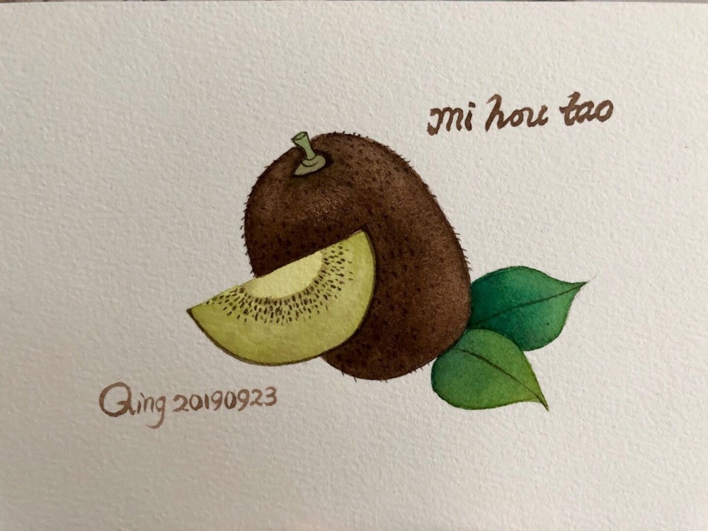 这9种有营养的水果你吃到过几种,水彩画水果系列用画笔画出它们