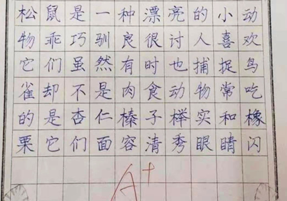 小学生写字标准如