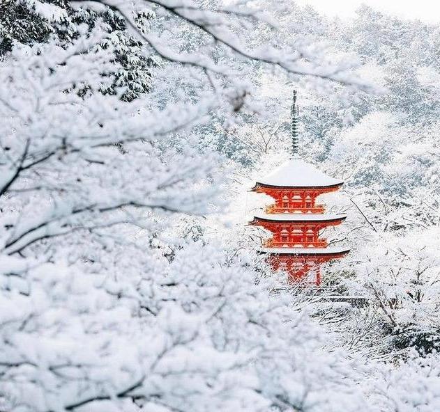 以下20个日本冬季的限定绝景,如果你有幸遇见过,一定会更爱冬天一点.