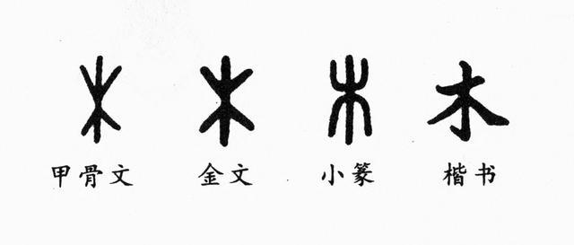 汉字,书法,甲骨文,隶书,小篆