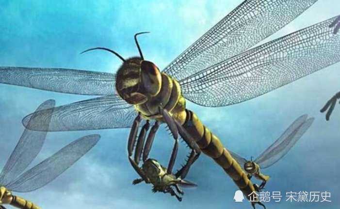 史前地球上"巨兽横行",蜻蜓有一米长,那么远古的蚊子呢?