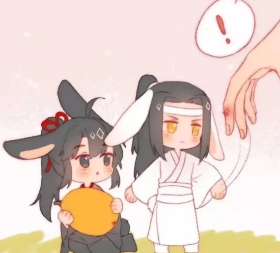 魔道祖师,魏无羡,蓝忘机,兔子,含光君