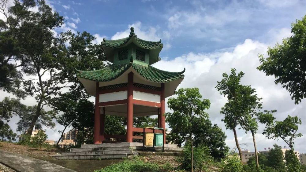 神湾镇,中山市,生态旅游,海港村,湿地公园