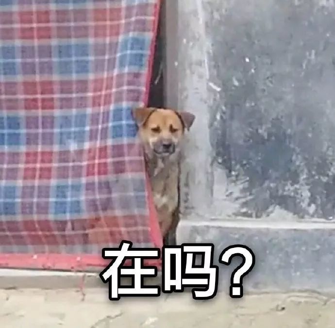 鼓掌!厉害,厉害!