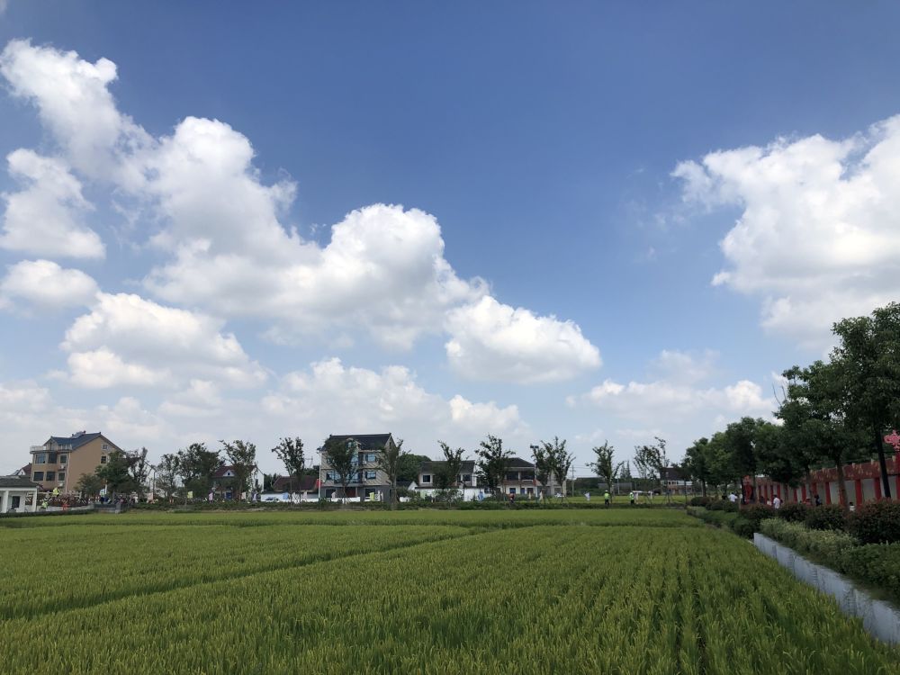 河南农村 去年河南省乡村振兴战略规划(2018—2022年)》的通知出台.