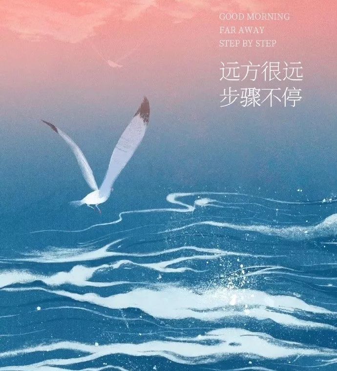 崭新的一天,崭新的开始!