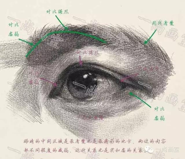 2五官——眼睛的分角度