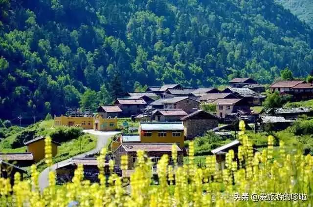 茂县是四川最大的羌族聚居地,松坪沟乡为羌族文化中心区域.