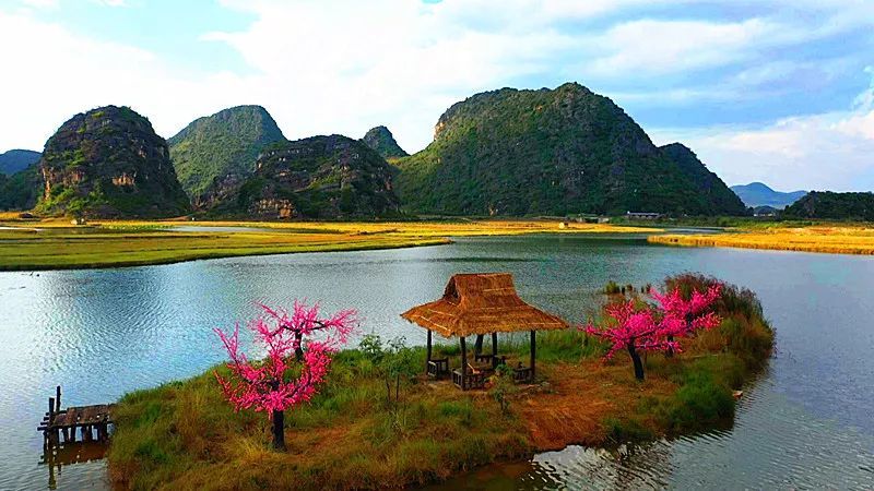 《三生三世十里桃花》普者黑外景拍摄地重新对游客开放