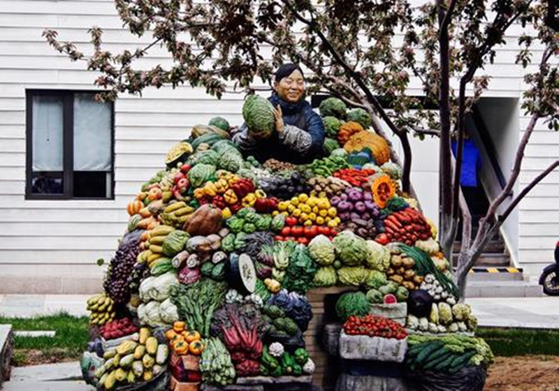 越南水果大丰收,果农却哭了,万吨水果烂在地里,忙向中国求助