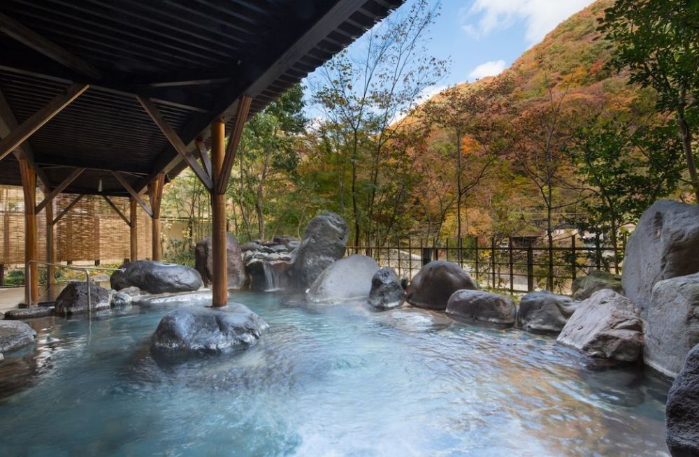 日本_旅游,阿尔卑斯山脉,红叶,温泉酒店,鬼怒川,温泉旅馆