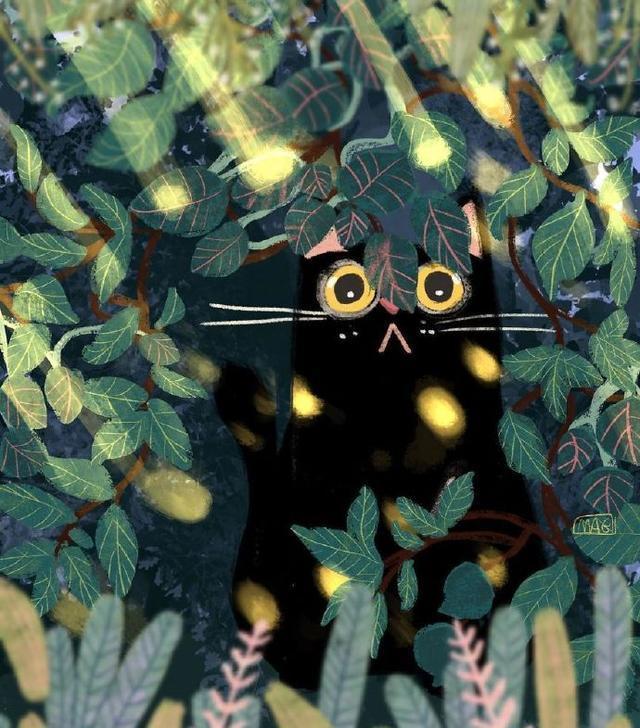 一个人一只猫