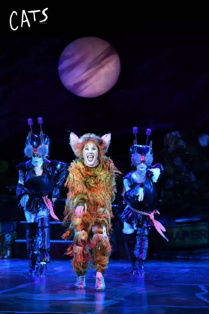 《猫》cats震撼开演!经典音乐剧点亮广州"夜经济"