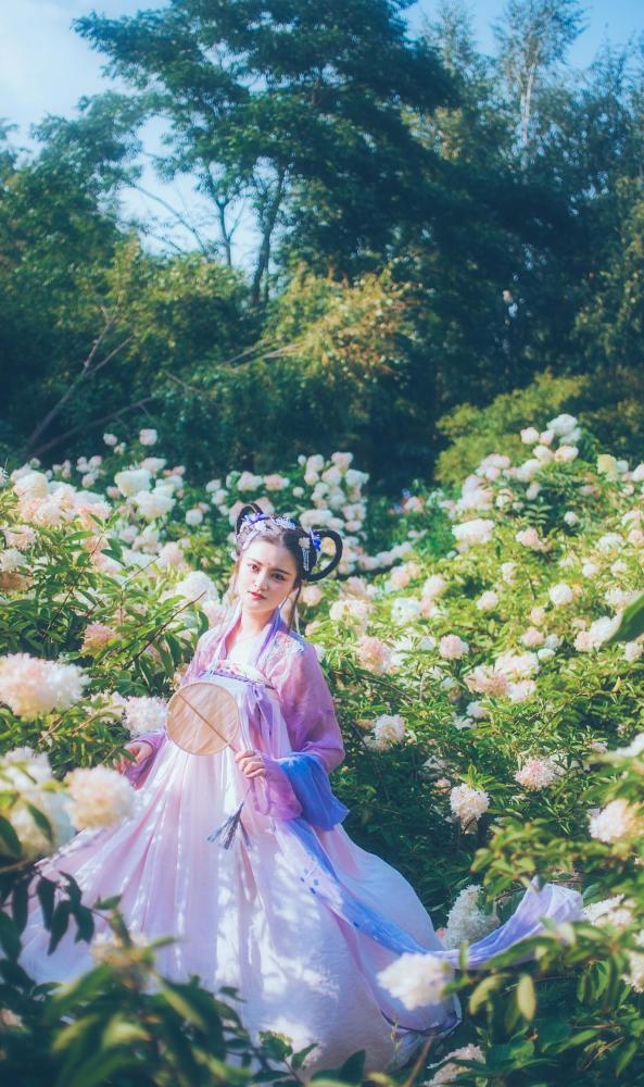 木绣球花丛里,清新娇媚的小仙女