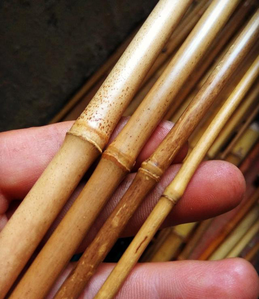 小时候玩剩下的:如何用竹子自制一根鱼竿,共分为四个步骤