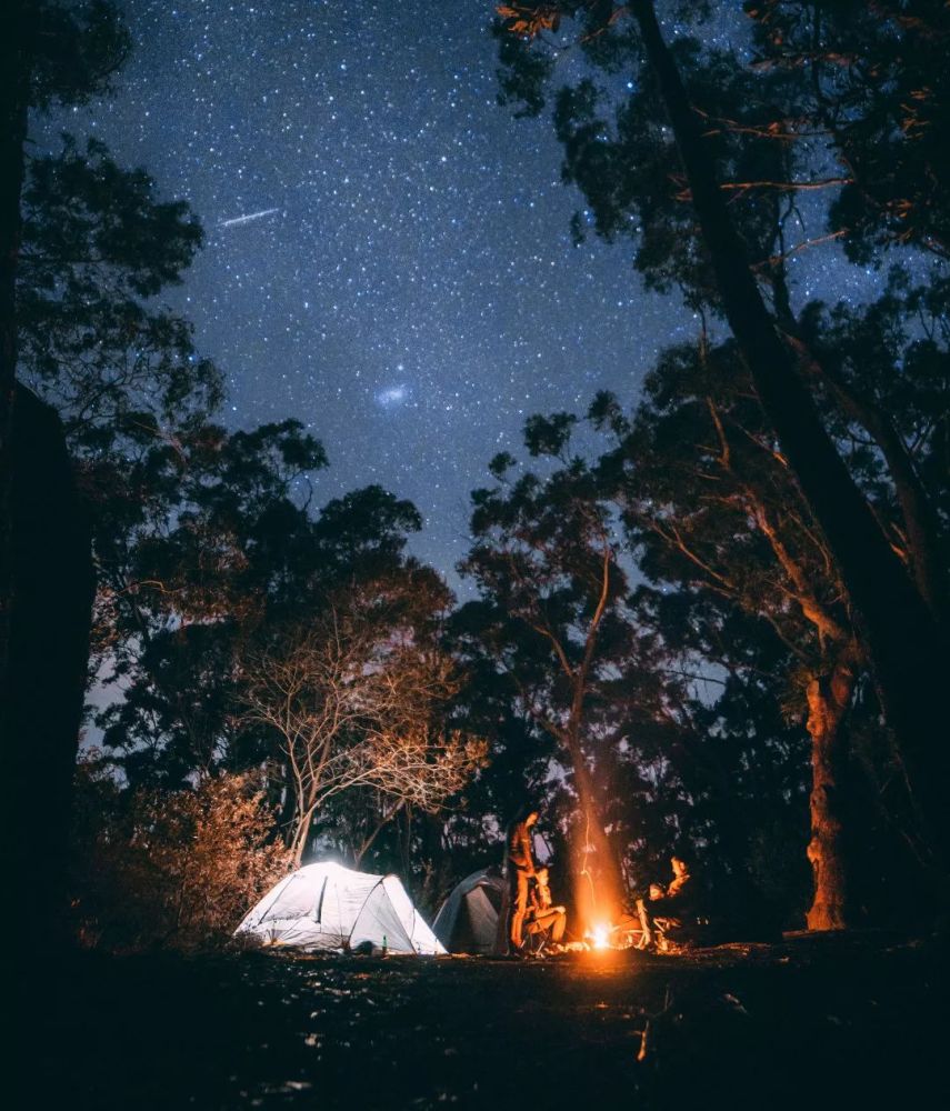 星空露营 烧烤派对!这个刷爆朋友圈的网红活动来金山了!