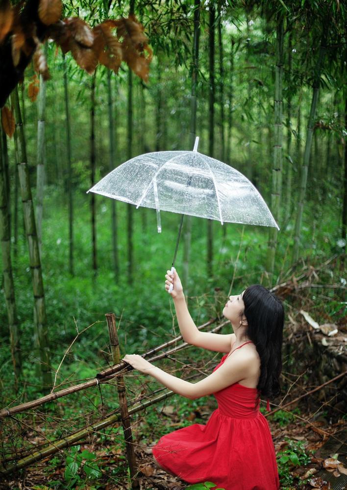 森林里拿着雨伞的姑娘,眼神多情